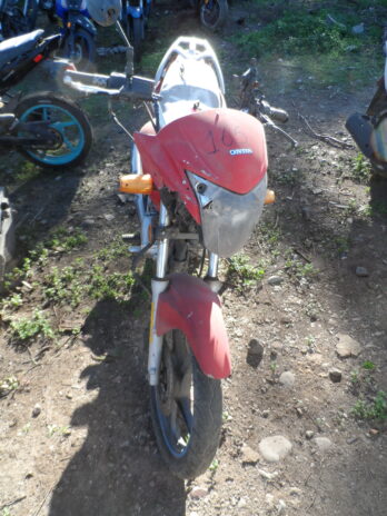 LOTE 165