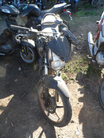 LOTE 166