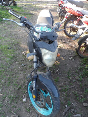 LOTE 167