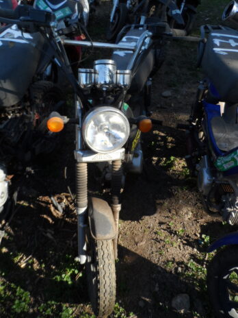 LOTE 172