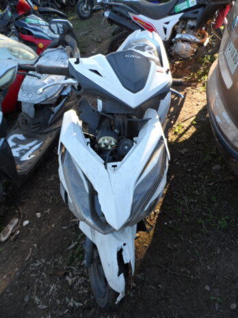 LOTE 174