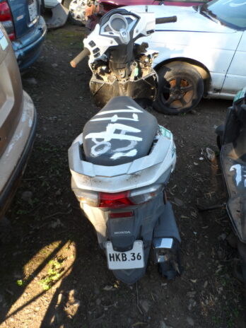 LOTE 174