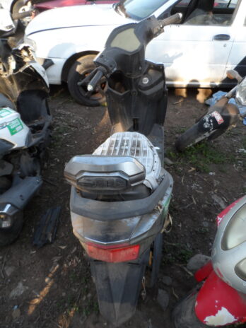 LOTE 175