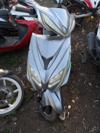 LOTE 175
