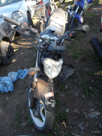 LOTE 176
