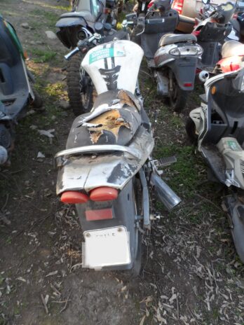 LOTE 181