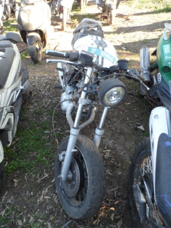 LOTE 181