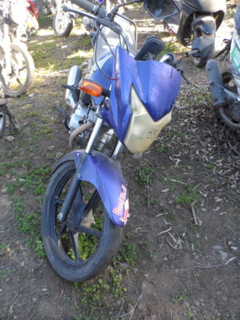 LOTE 183