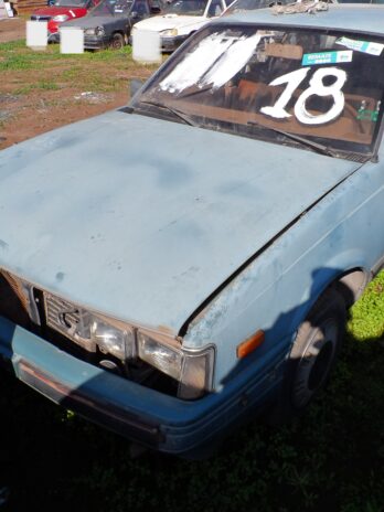 LOTE 18
