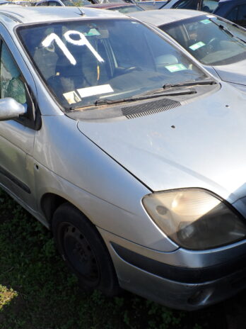 LOTE 19