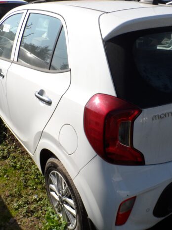 LOTE 20
