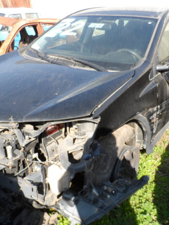 LOTE 22