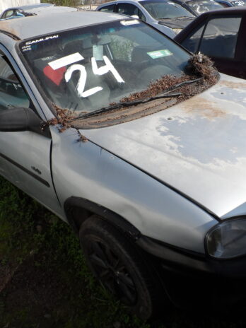 LOTE 24