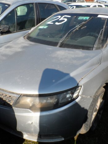 LOTE 25