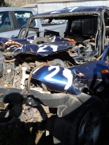 LOTE 29
