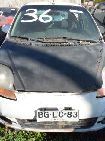 LOTE 36