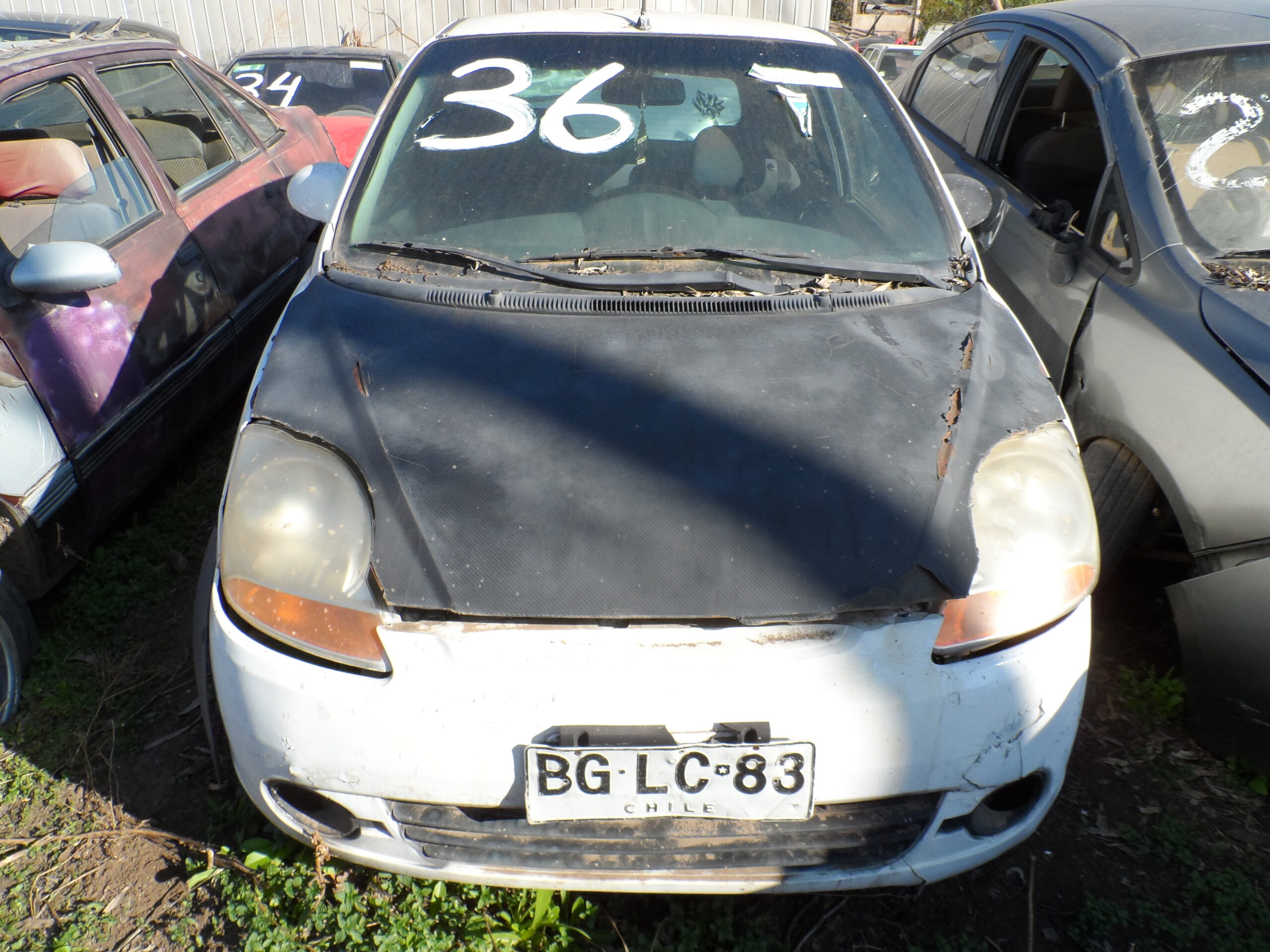 LOTE 36