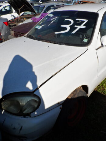 LOTE 37