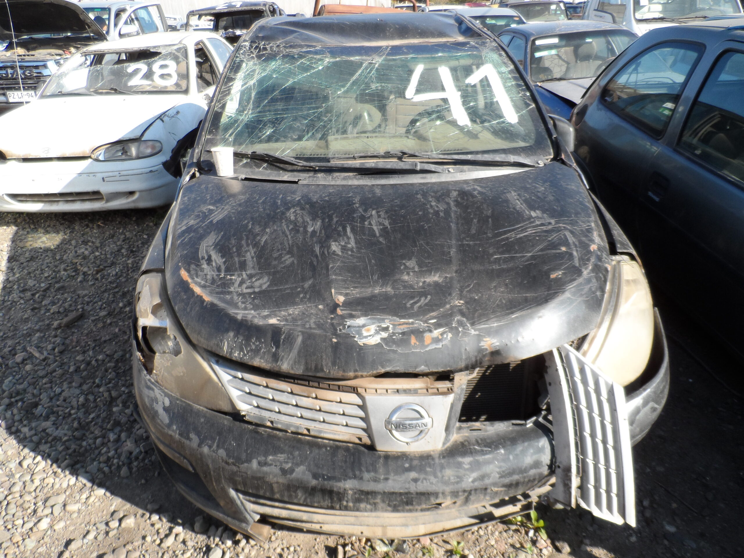 LOTE 41