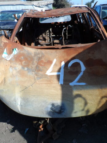 LOTE 42