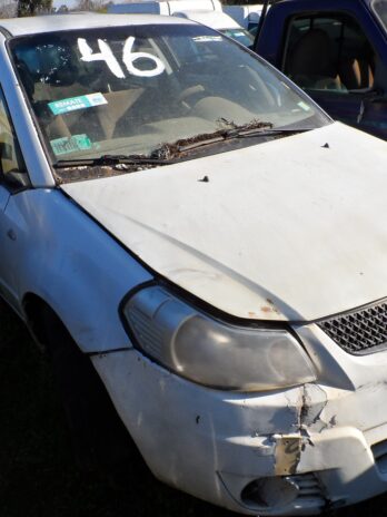 LOTE 46