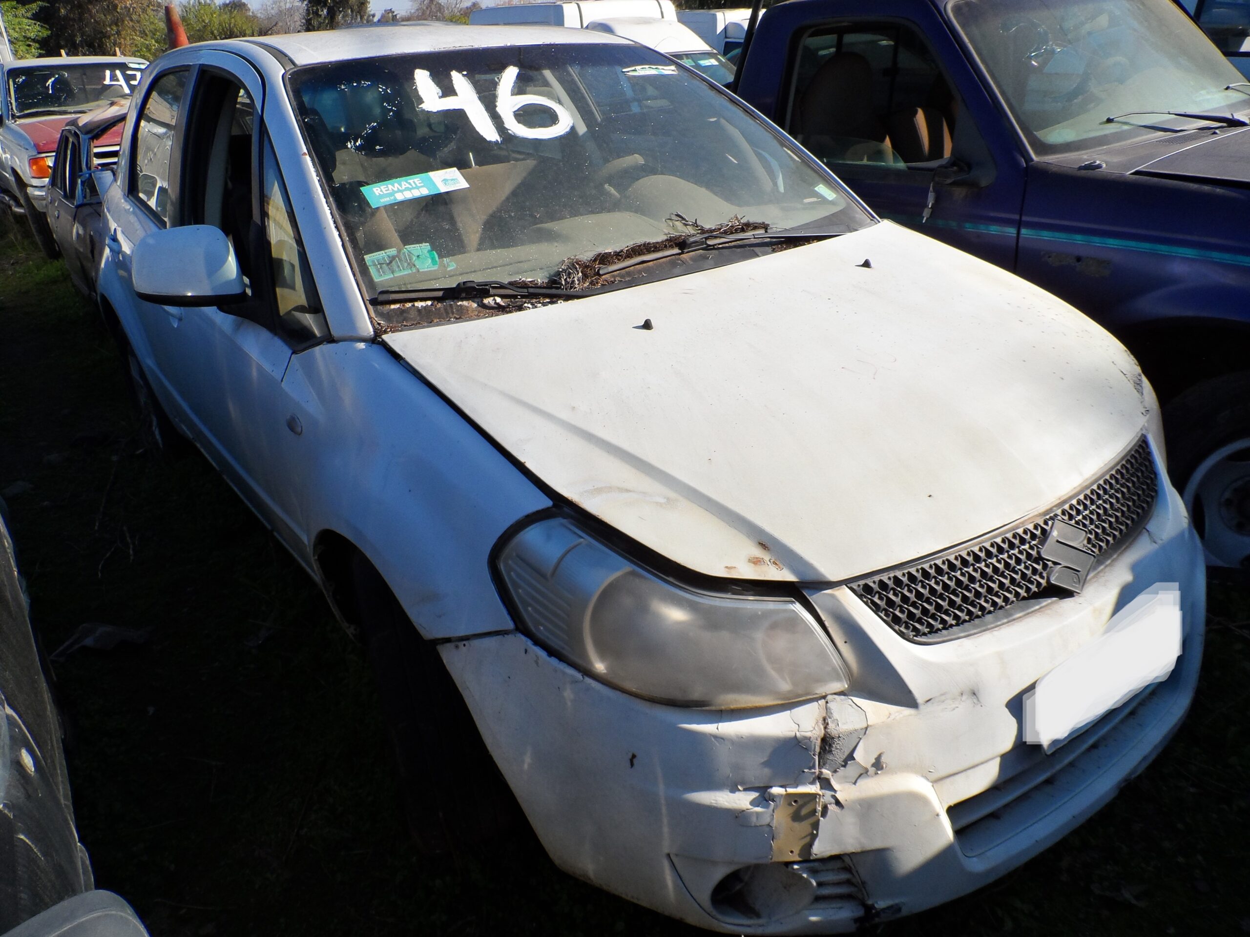 LOTE 46