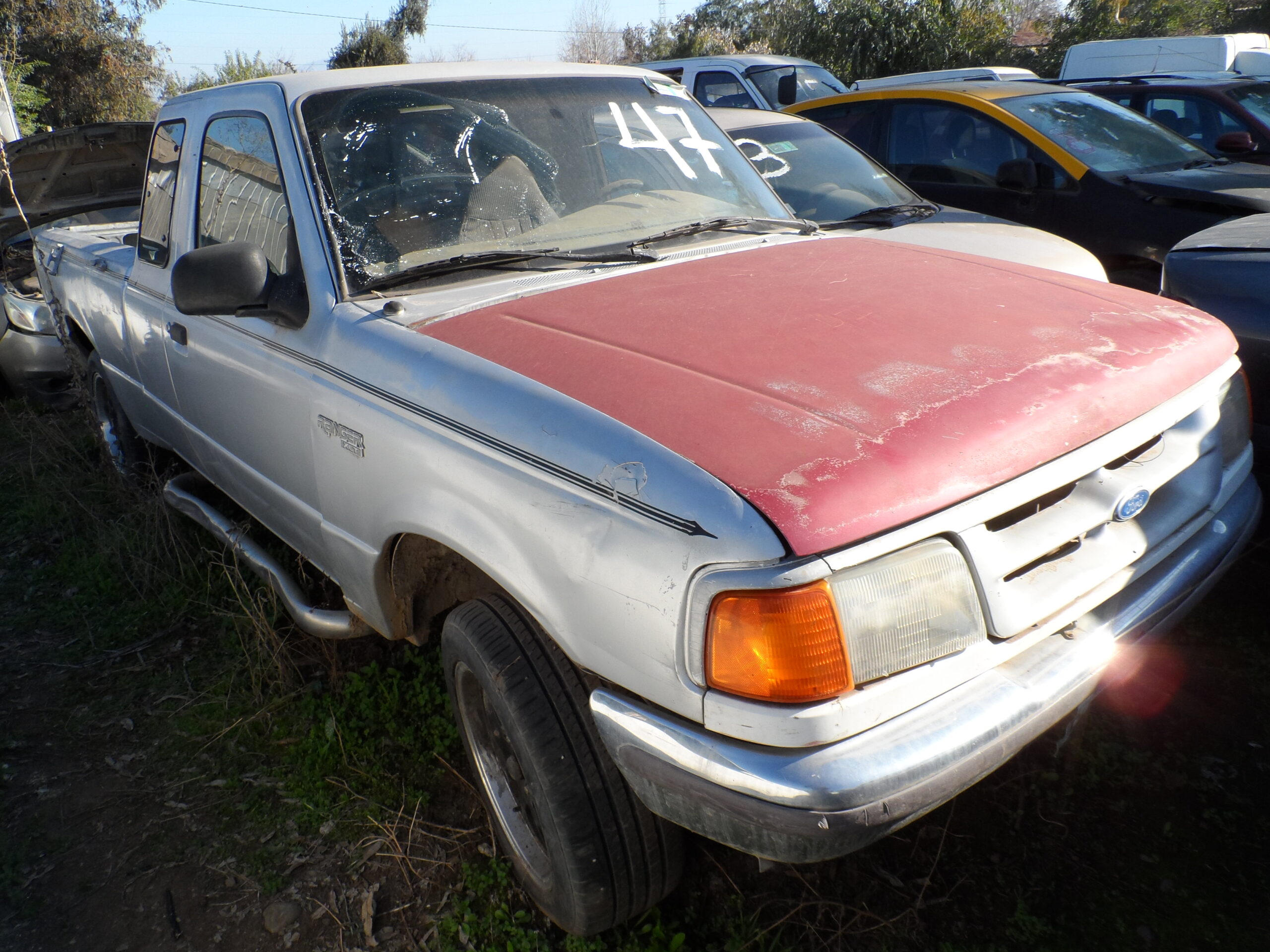 LOTE 47 - Imagen 4