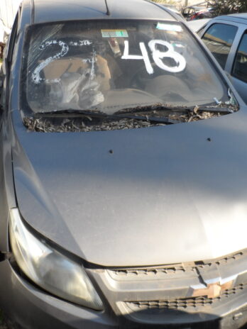 LOTE 48