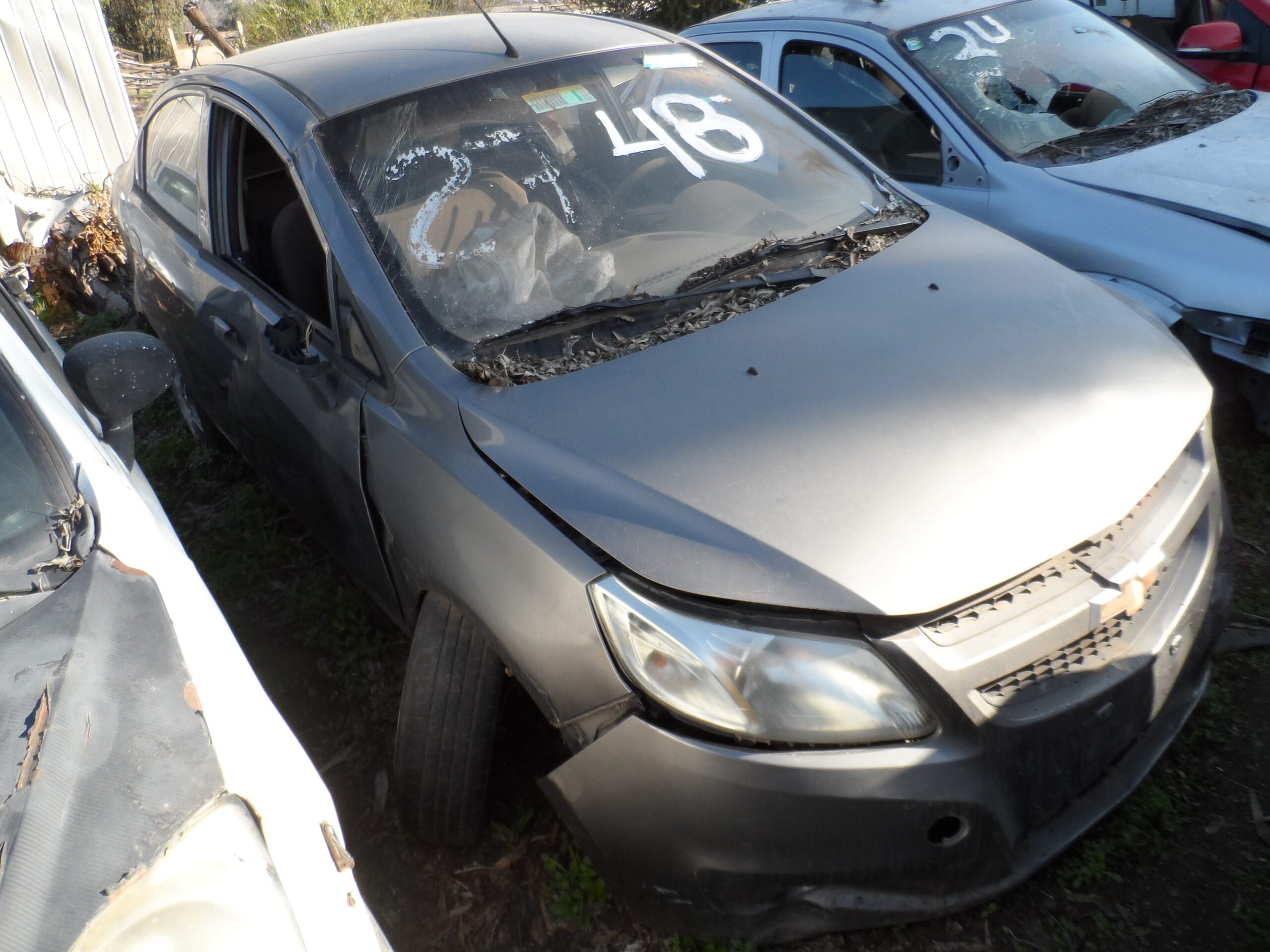 LOTE 48 - Imagen 5