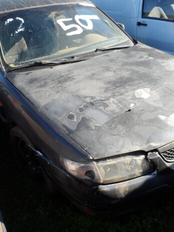 LOTE 50