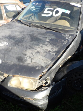 LOTE 50