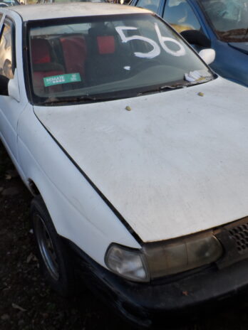 LOTE 56