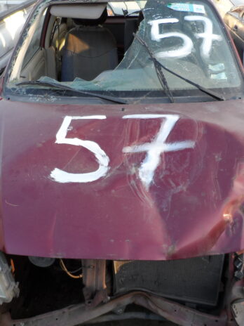 LOTE 57