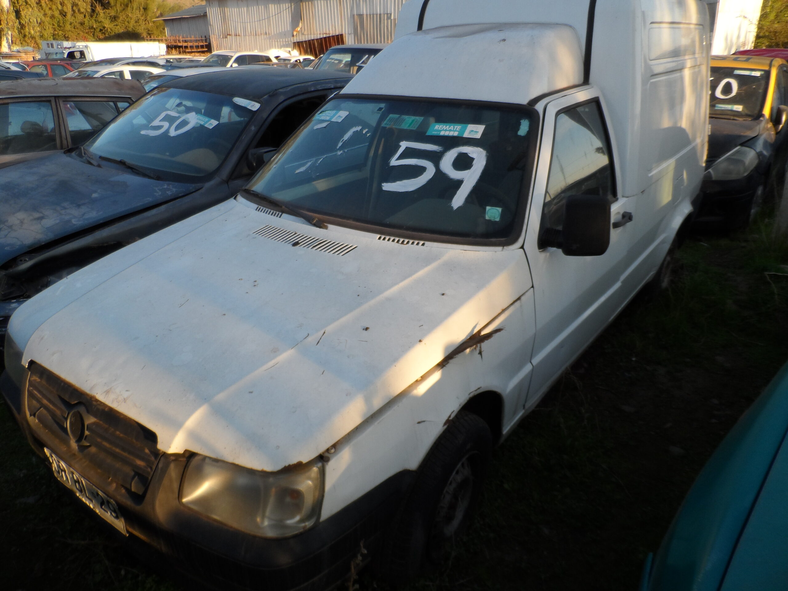 LOTE 59 - Imagen 4