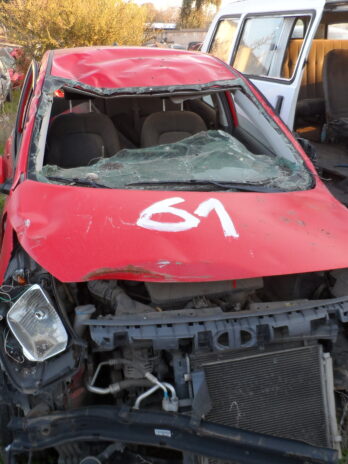 LOTE 61