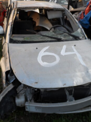 LOTE 64