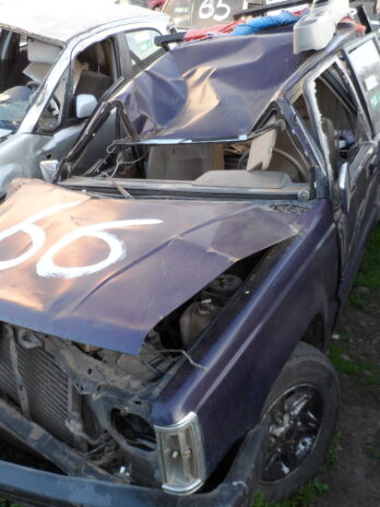 LOTE 66