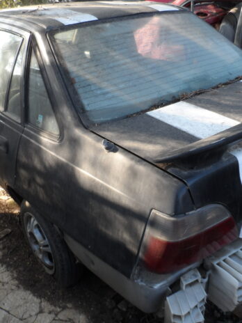 LOTE 7
