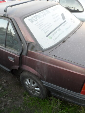 LOTE 75