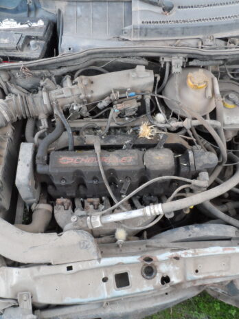 LOTE 76