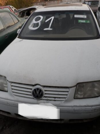 LOTE 81