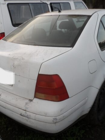 LOTE 81
