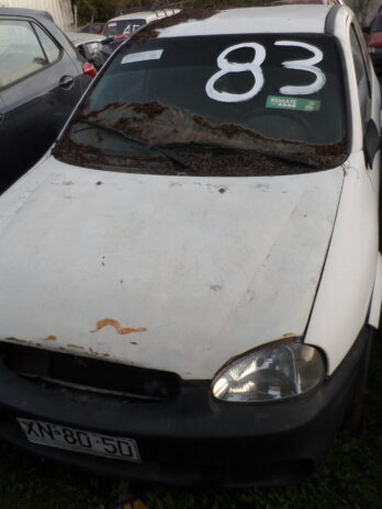 LOTE 83