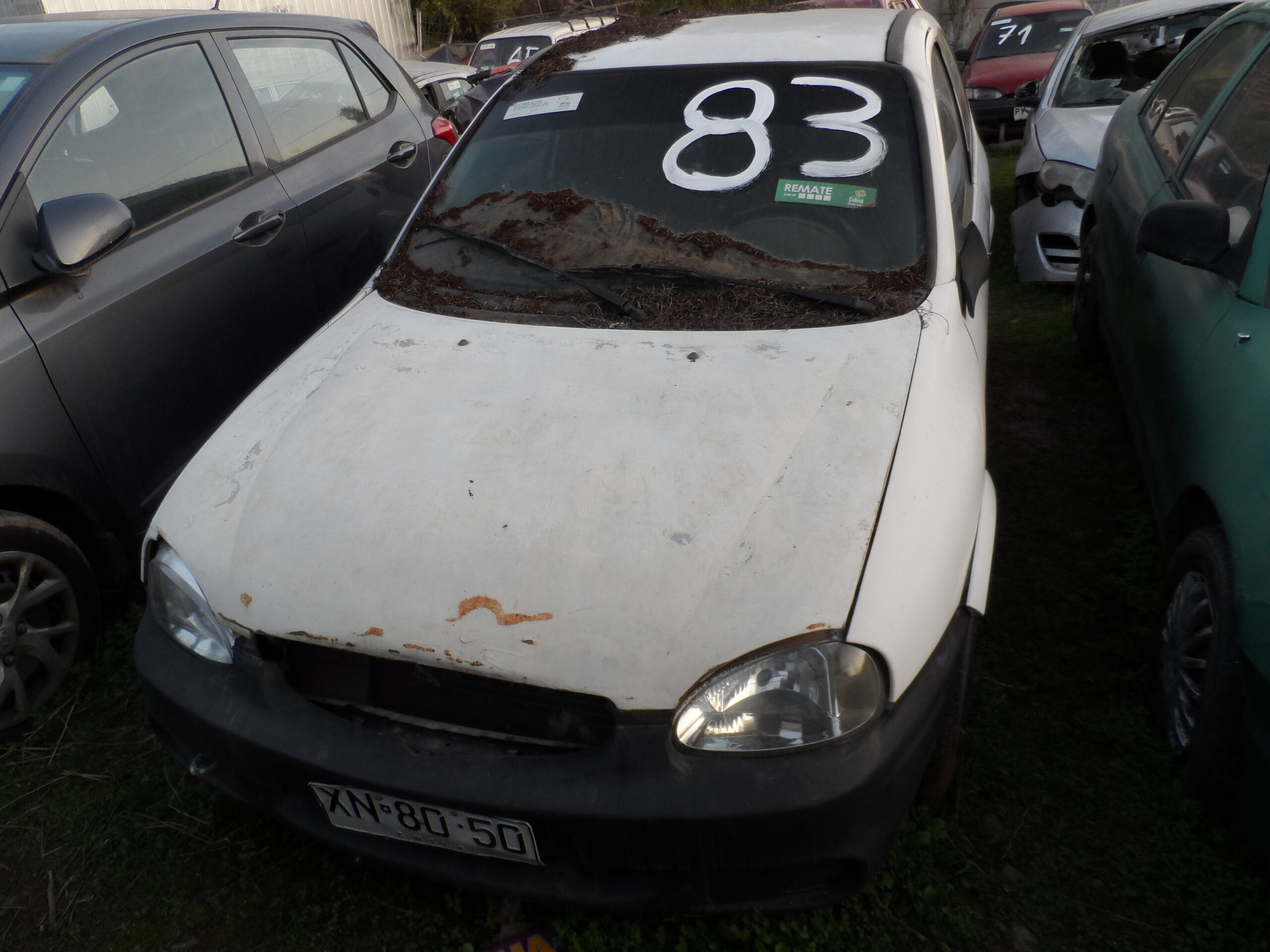 LOTE 83