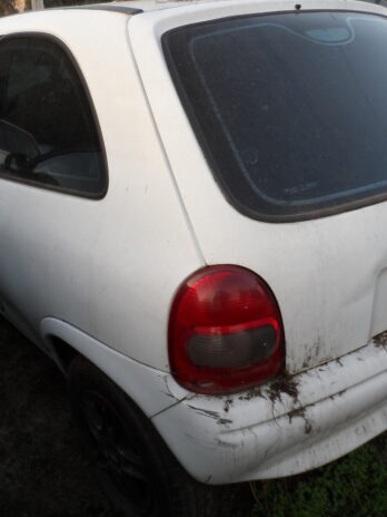 LOTE 83
