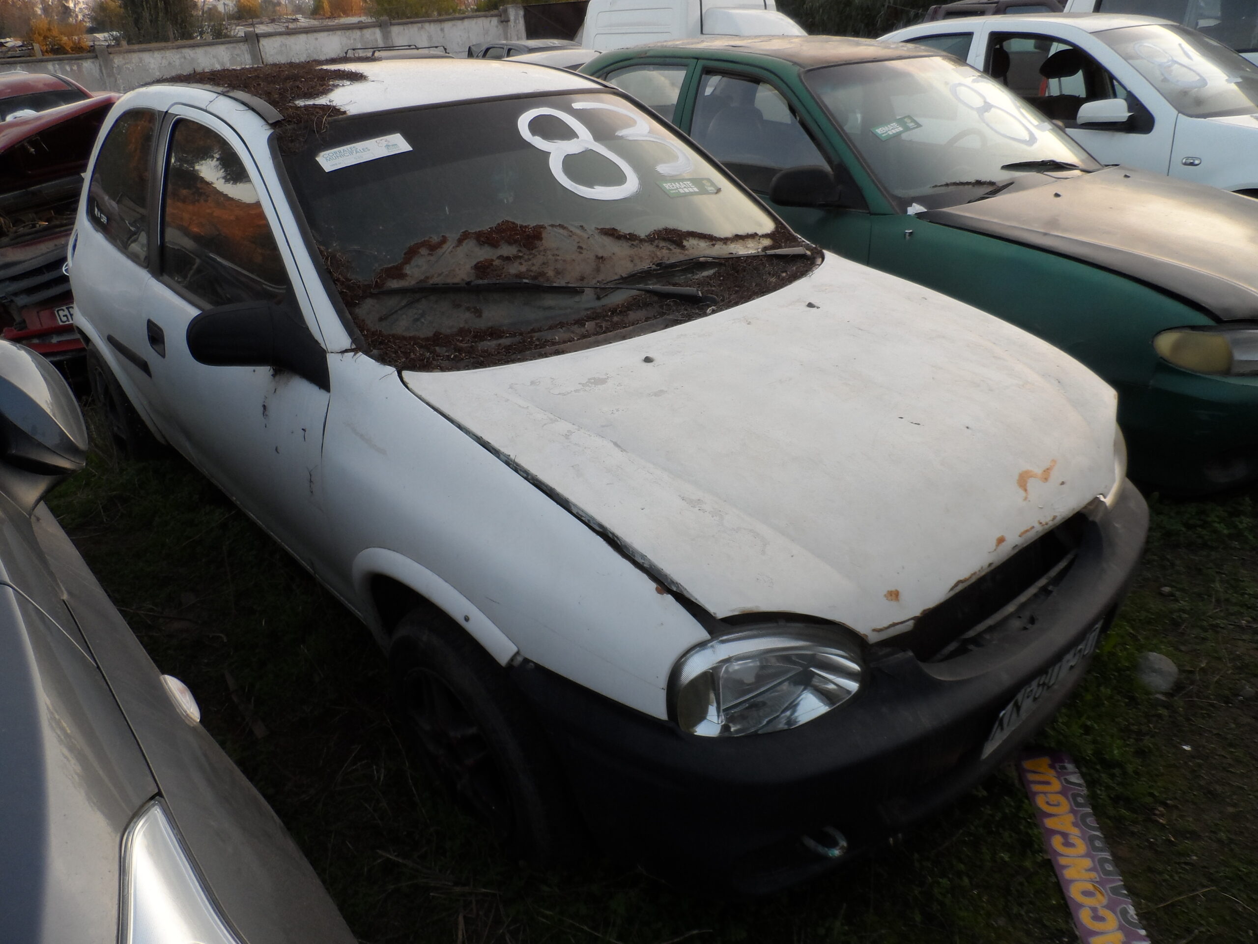 LOTE 83 - Imagen 3