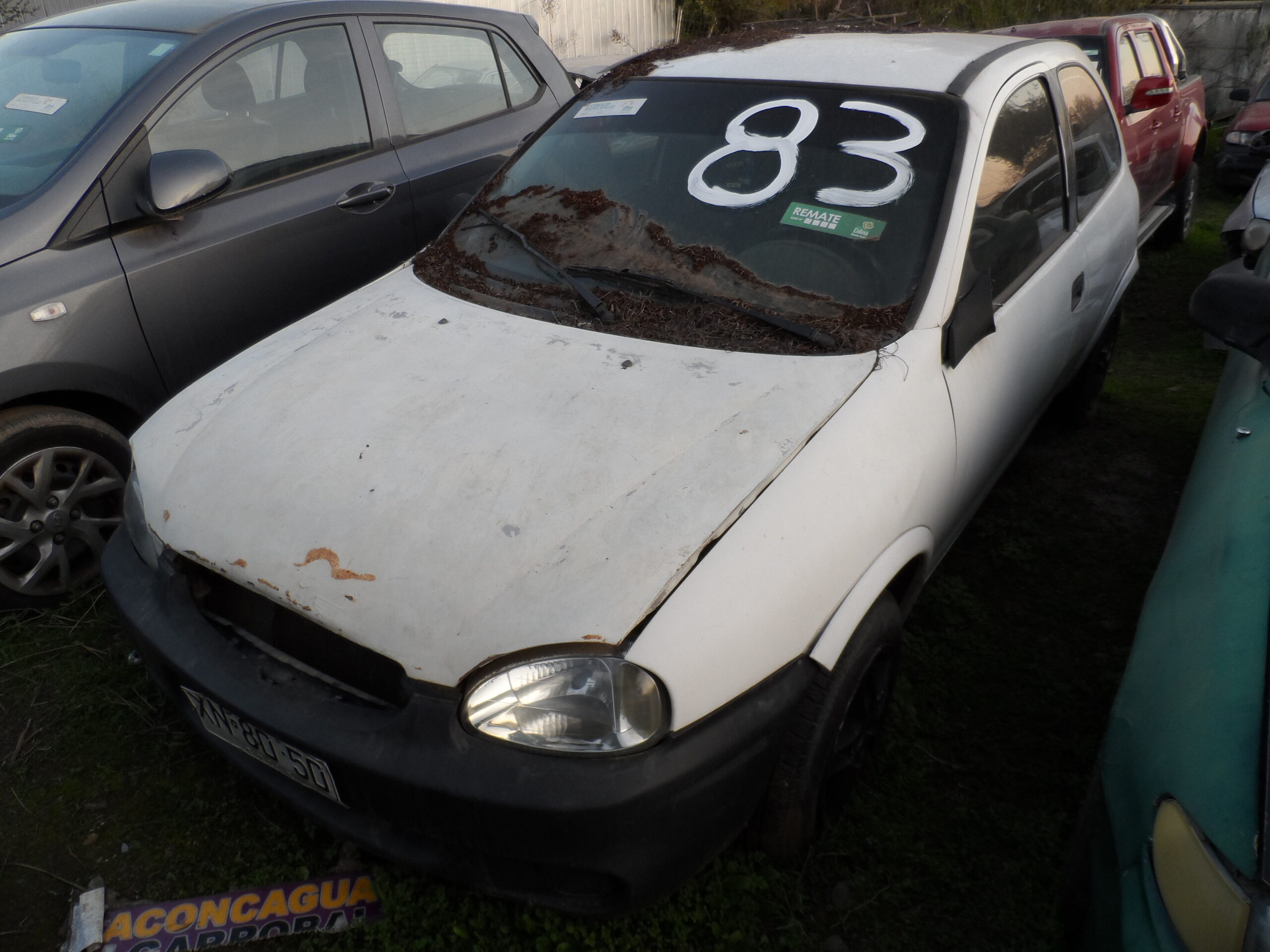 LOTE 83 - Imagen 4