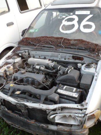 LOTE 86
