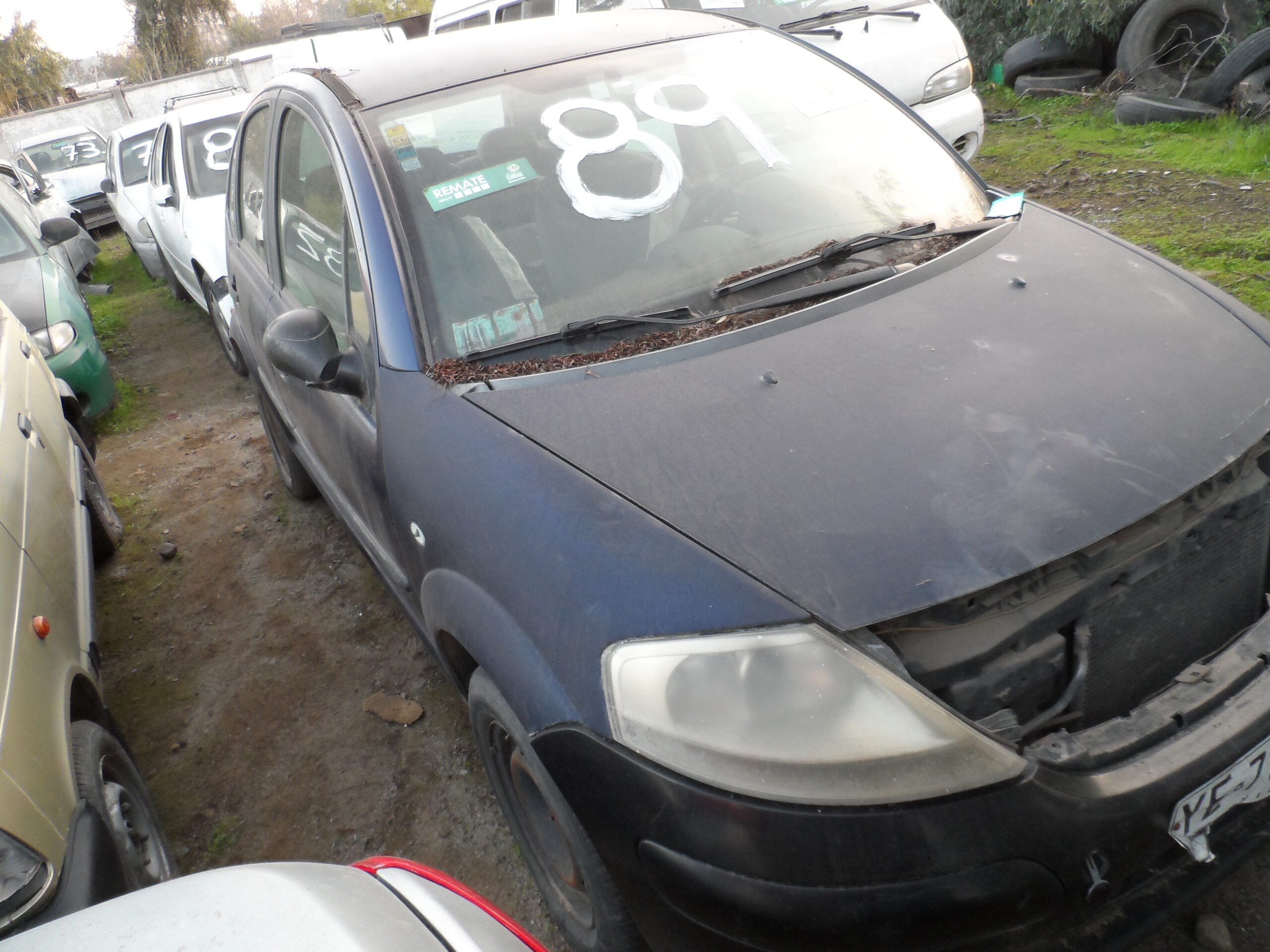 LOTE 89 - Imagen 4