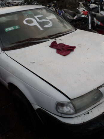 LOTE 95